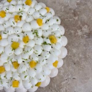 Pavlova Mangue Passion