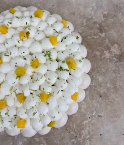 IMG.PAVLOVA.MANGUE_1625 Pavlova Mangue Passion