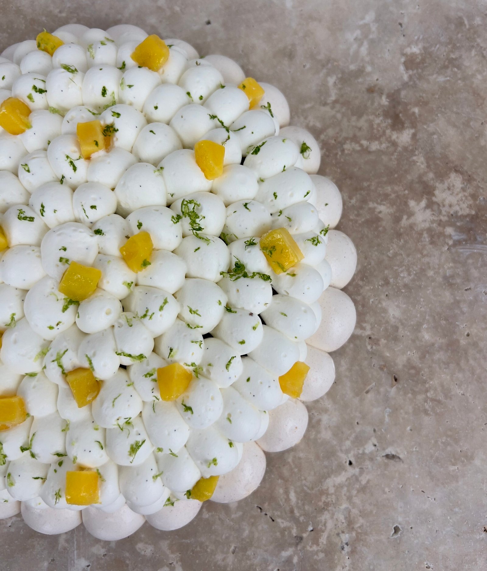 Pavlova Mangue/Passion